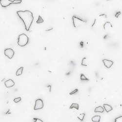 staron mosaic dalmatian qd212